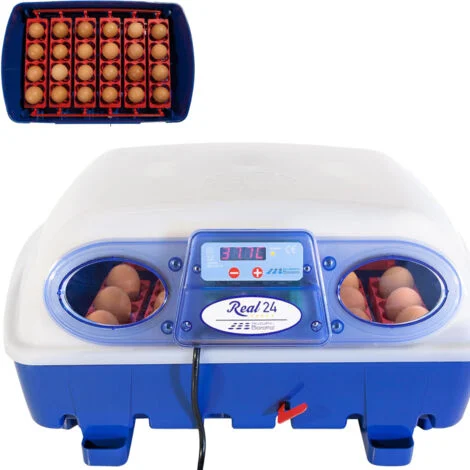 Incubatrice per Uova Semi Automatica Professionale Borotto Real 24