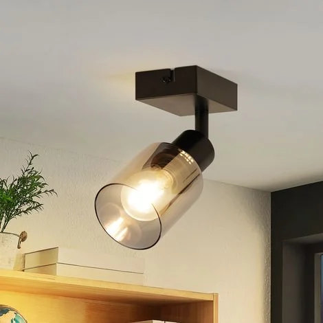 GBLY Applique murale vintage 1 fiamma: lampada da parete retrò nera industriale lampada da soffitto E14 Spot da soffitto corridoio in vetro girevole 350° Proiettore da parete - Senza lampadina