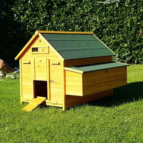Pollaio Casetta In Legno Per Galline Cocincina XXXLTetto Bituminato