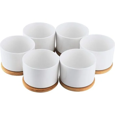 Vaso per piante grasse in ceramica bianca, piccolo contenitore con vassoio in bambù (6 pezzi)