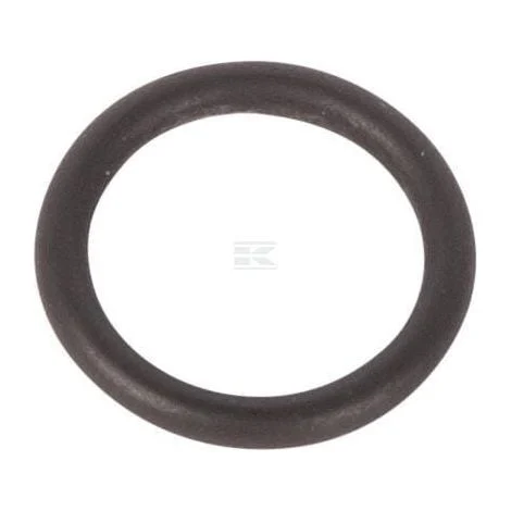 Guarnizione ZF 0634313215