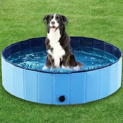 Piscina per cani di piccola e grande taglia, piscina per cani pieghevole, antiscivolo, piscina per cani 80 x 20 cm, PVC spesso, piscina per cani, piscina per cani