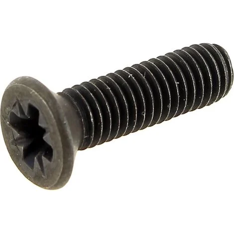 Vite a testa cilindrica m5x19 mm 805434 per trapano black & decker
