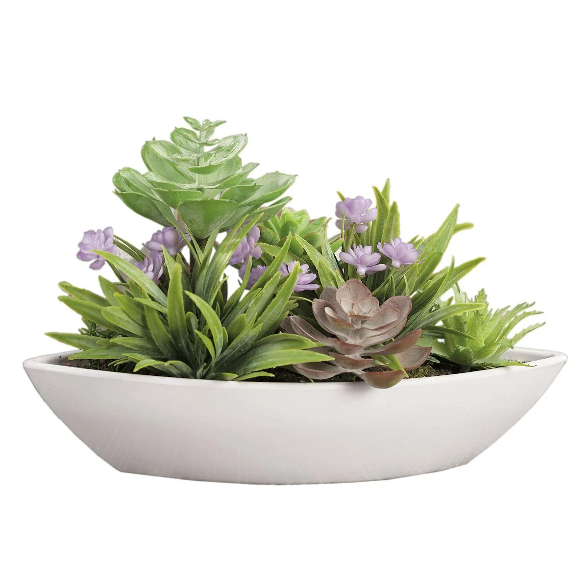 Fiore Vasetto Pianta Grassa cm.25x10x15