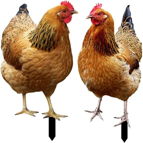 Set di 2 paletti da giardino a forma di pollo - Decorazione in acrilico - Per giardino, prato