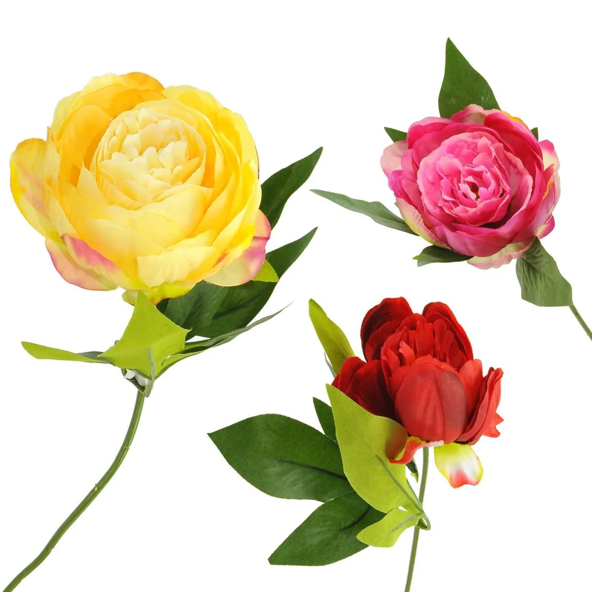 Fiore Peonia cm.53