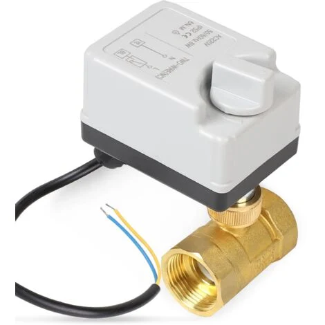 Valvola Motorizzata 2 Vie con Funzione Manuale, DN25 1 Pollice AC220V Valvola Zona Ottone