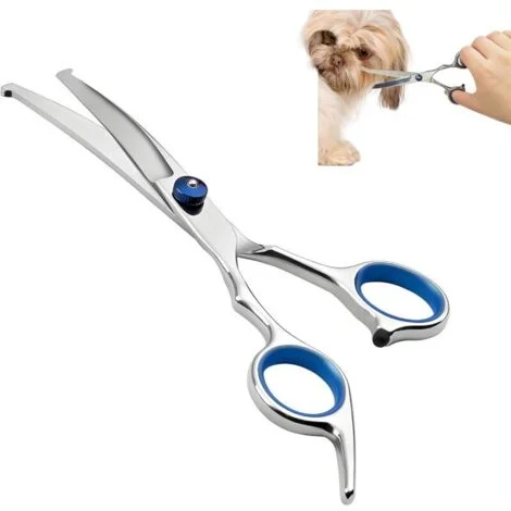 Forbici professionali in acciaio inossidabile per la toelettatura di cani e gatti, con punte arrotondate di sicurezza e lame curve, perfette per la toelettatura di viso, zampe, corpo e in generale.