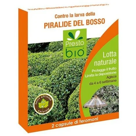 Feromone contro Piralide del Bosso Ueber