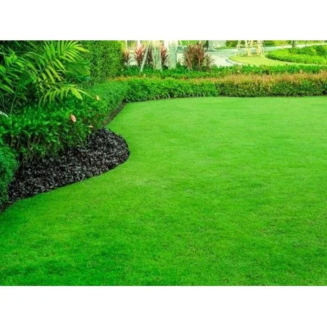 Prato Turbo – 15-20 m² – Semina Rapida – Zone Ombreggiate & Fresche – Purezza 98% – Verde Luminoso – Robusto
