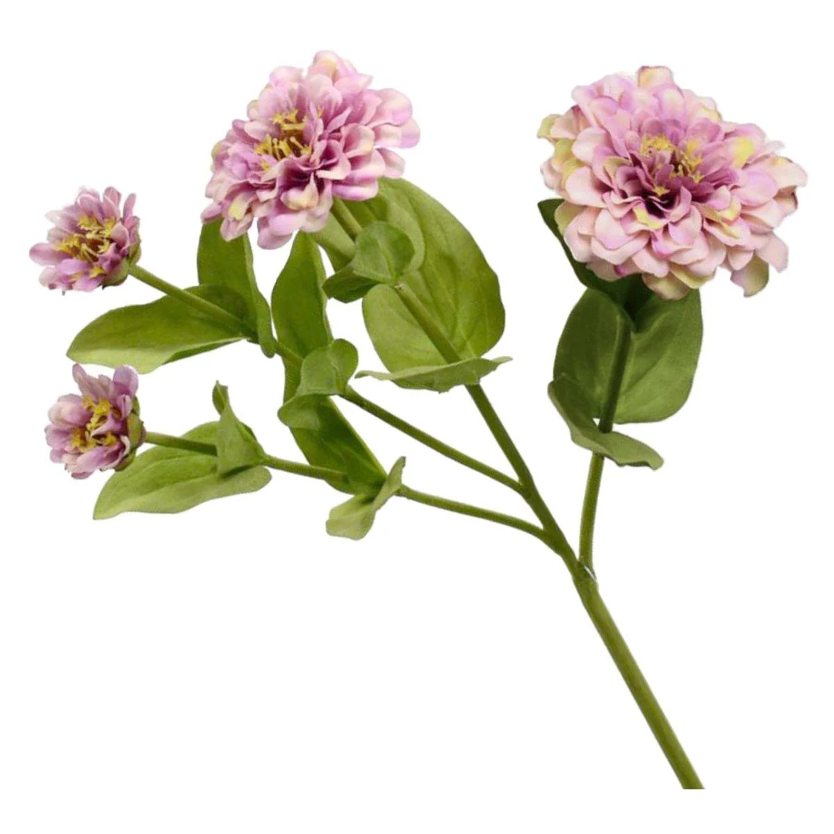 Fiore Zinnia Rosa cm.60