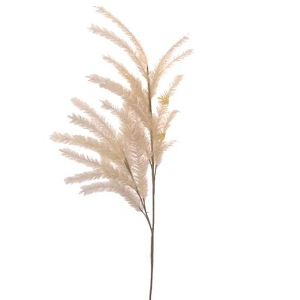 Fiore Rametto Tifa Selvaggia Crema cm.110