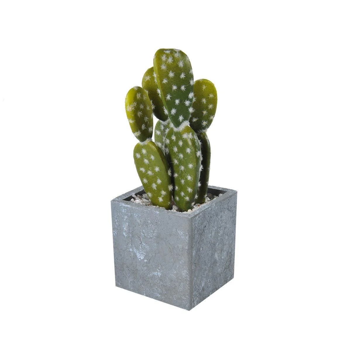 Fiore Vasetto Pianta Grassa cm.8x8x21