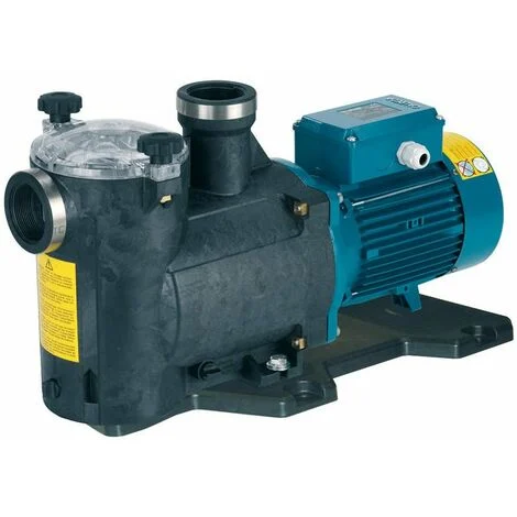 Calpeda pompa per piscina MPC 61/A ad ALTA portata Trifase 1,5kW con filtro per il ricircolo dell'acqua per uso professionale
