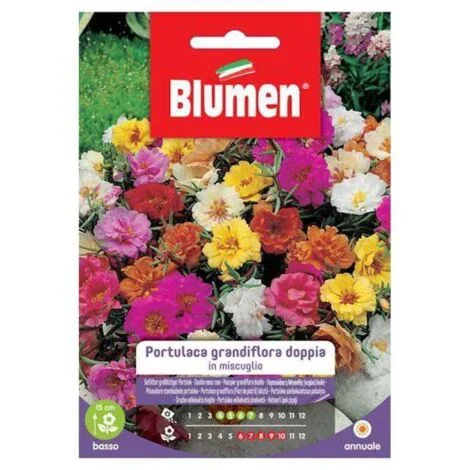SEMI PORTULACA GRANDIFLORA DOPPIA BLUMEN