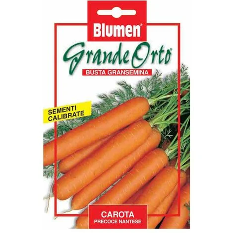 SEMI CAROTA PRECOCE NANTESE MAXI ORTO BLUMEN