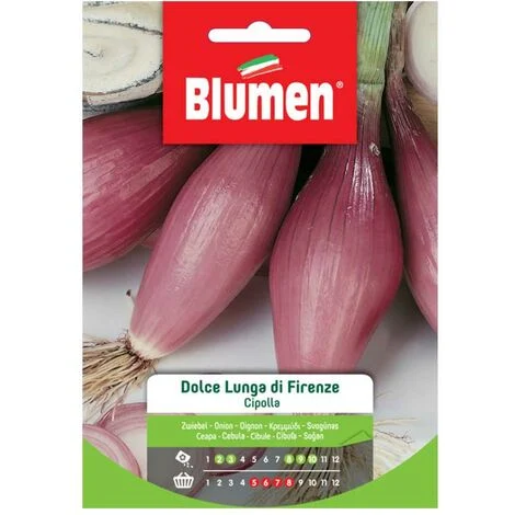 SEMI CIPOLLA DOLCE LUNGA DI FIRENZE BLUMEN
