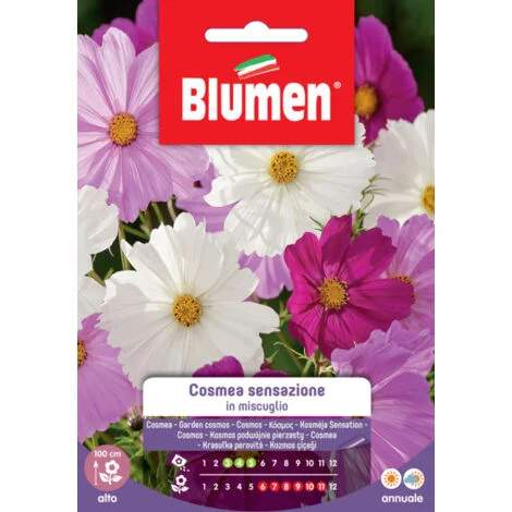 SEMI COSMEA SENSAZIONE MIX BLUMEN