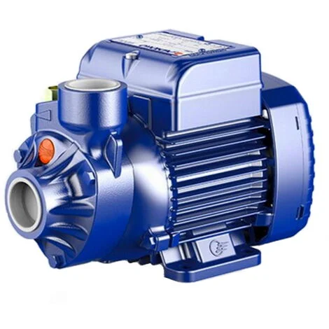 Elettropompa pompa per acqua Motore Autoclave periferica Pedrollo Monofase PKm65