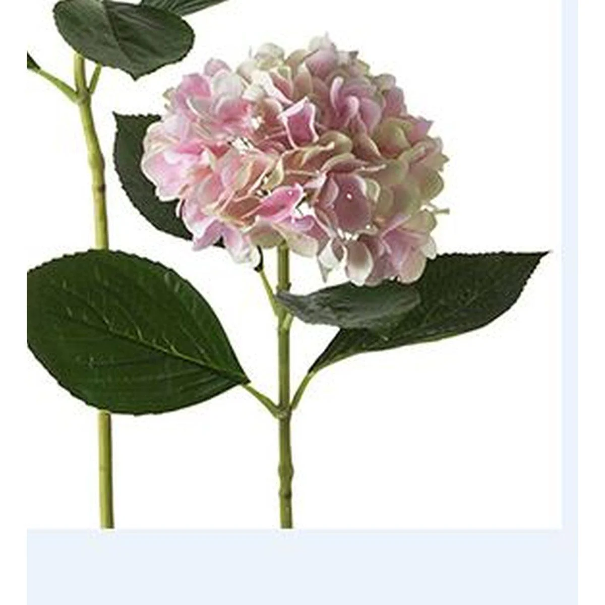 Fiore Ortensia Rosa cm.67