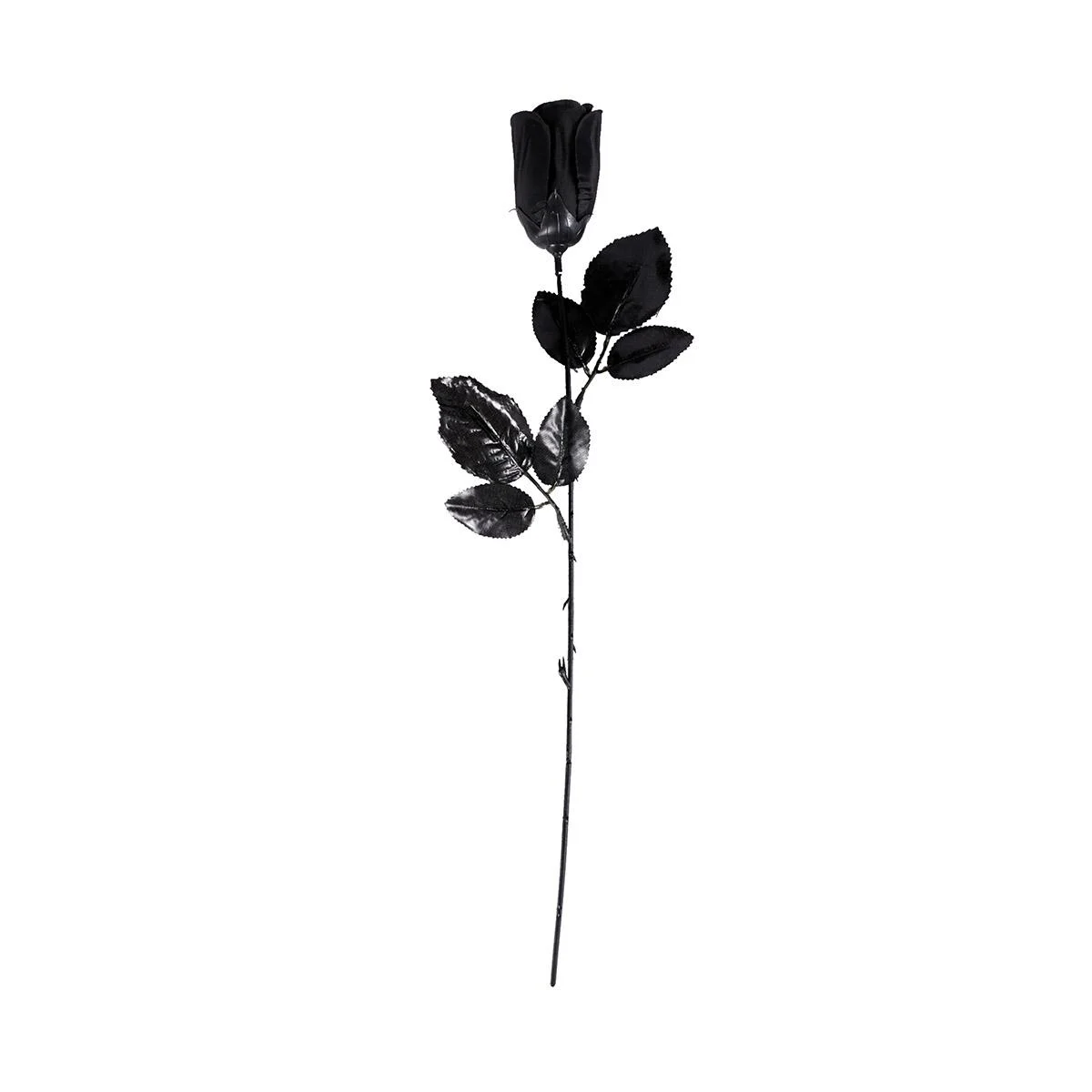 Fiore rosa nera