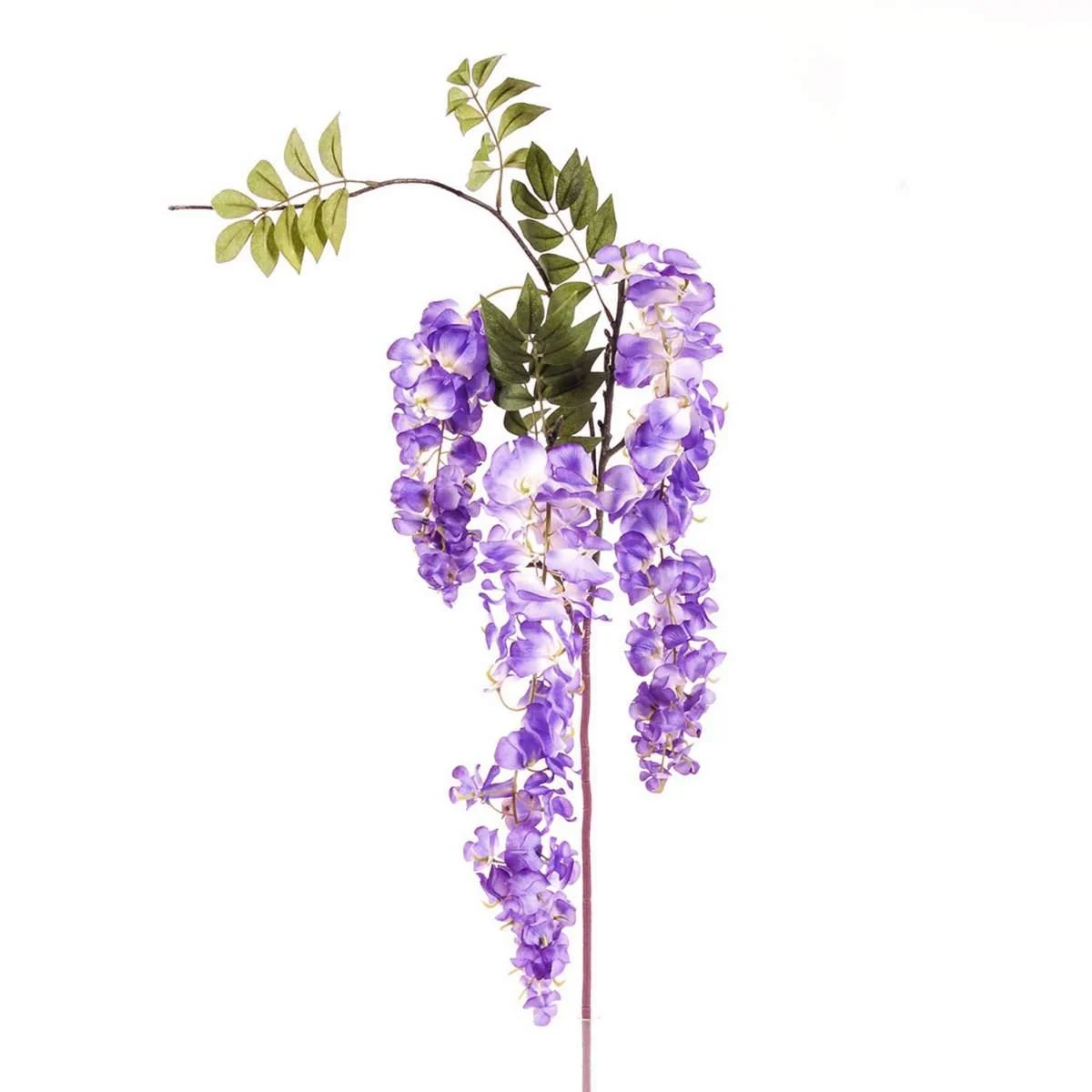 Fiore Glicine Viola x3 cm.103