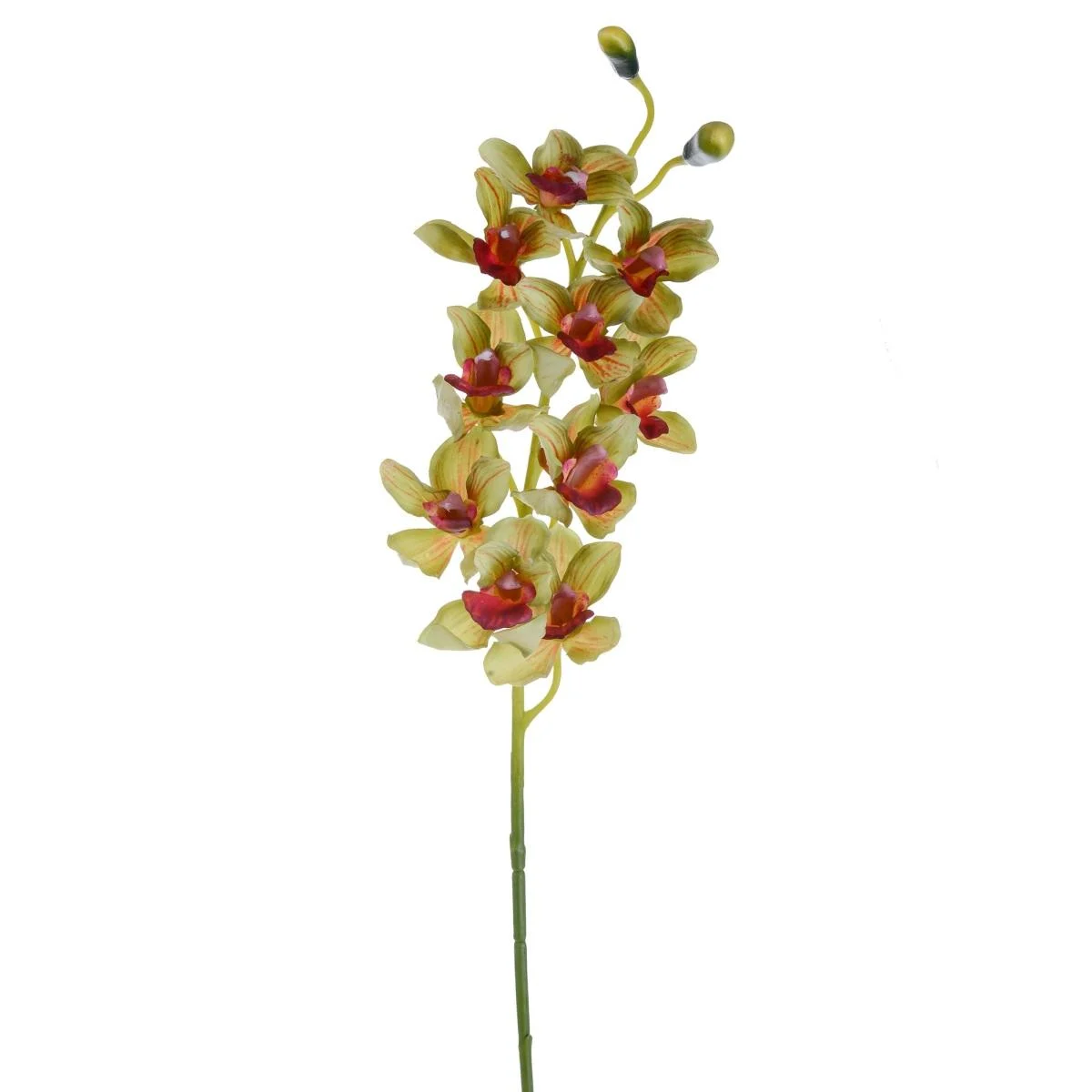 Fiore Orchidea Cymbidium Verde cm.92