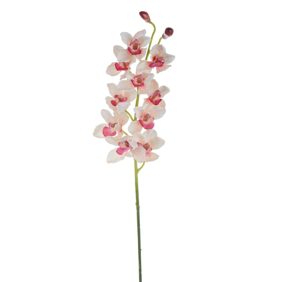 Fiore Orchidea Cymbidium Rosa cm.92