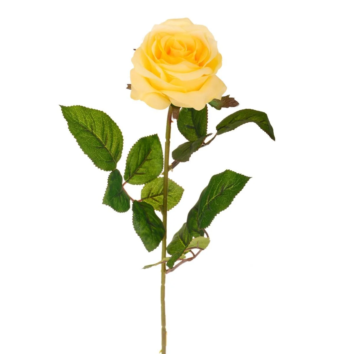 Fiore Rosa Gialla cm.67