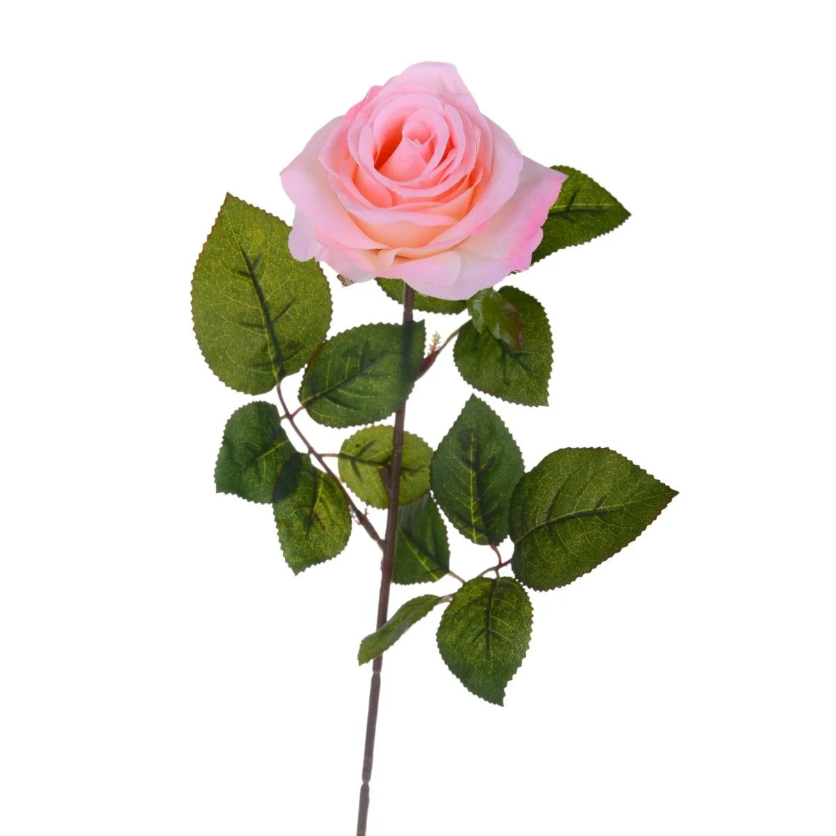 Fiore Rosa cm.67