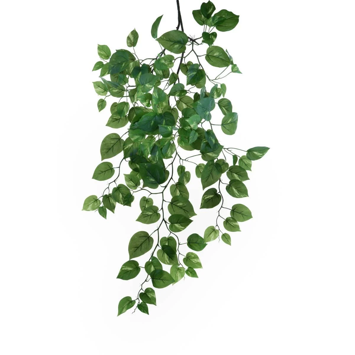 Fiore Pothos Verde Rampicante cm.107