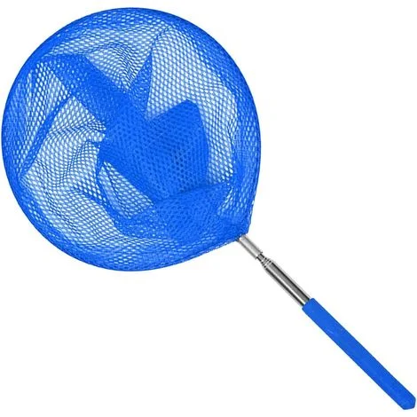 Retino per skimmer da piscina, retino telescopico per skimmer, rete da pesca in acciaio inossidabile, piccola rete di ricambio per attrezzatura standard per la pulizia delle piscine
