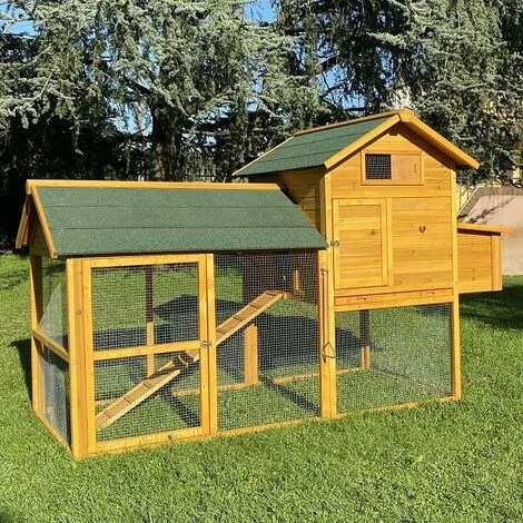 Pollaio Prefabbricato In Legno Padovana XXL Tetto Bituminato, Fondo Pollaio No