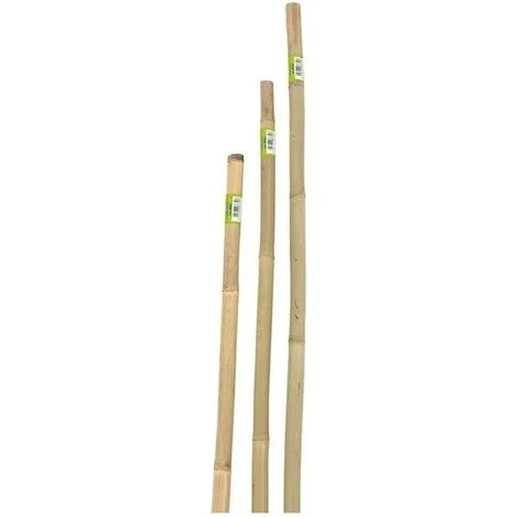 CANNA IN BAMBOO D 22-24MMXH180CM