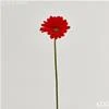 DE GASPERI GERBERA PRIX H55