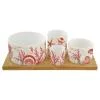 EASY LIFE CORAL REEF SET APERITIVO