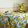 WOSDE LIMONE TOVAGLIA ANTIMACCHIA