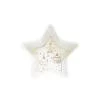 EASY LIFE CHRISTMAS LIGHTS CIOTOLA STELLA