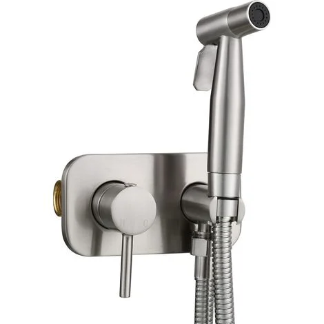 Kit bidet nascosto in acciaio inox per acqua calda e fredda con tubo flessibile e supporto, argento spazzolato