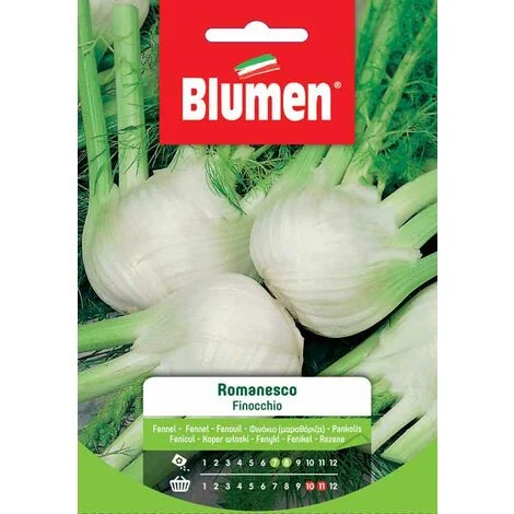 Semi Blumen finocchio romanesco