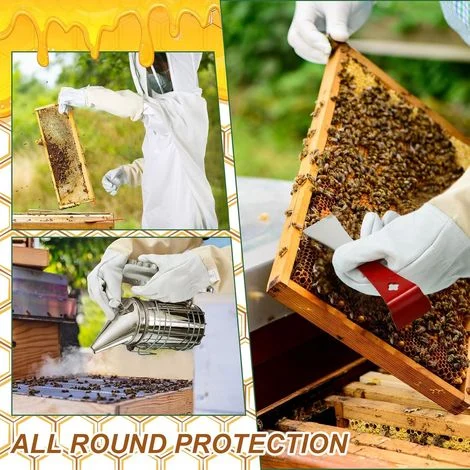Kit per apicoltura da 24 pezzi con tuta protettivaAttrezzatura essenziale per principiantiInclude tuta da apicoltore, affumicatore e utensili in acciaio inossidabile