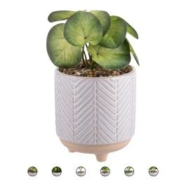 Piantina artificiale con vasetto in gres Ø 14xh. 34 cm, Sibilla