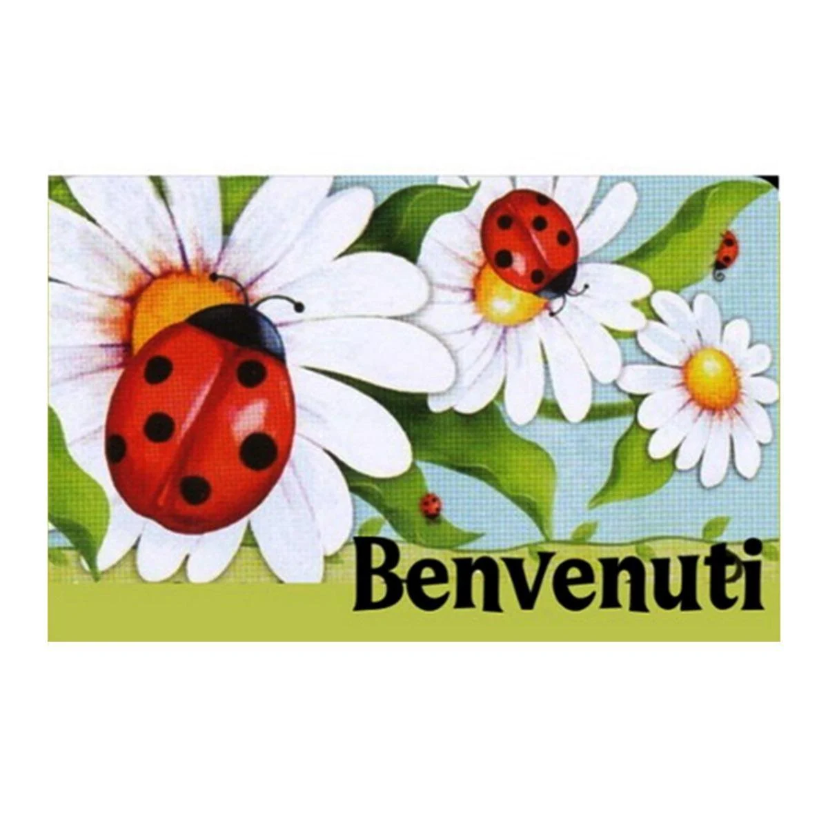 Zerbino cm.40x70 Cocco Coccinelle Multicolor