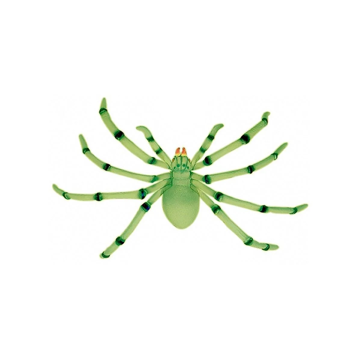 Ragno gigante fluorescente ventosa