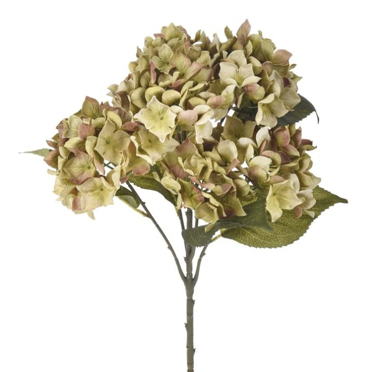 Fiore Ortensia Verde cm.57