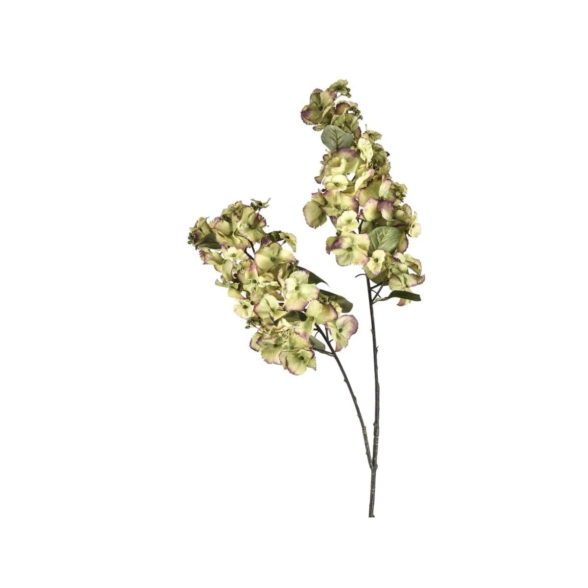 Fiore Ortensia Verdex2 cm.117