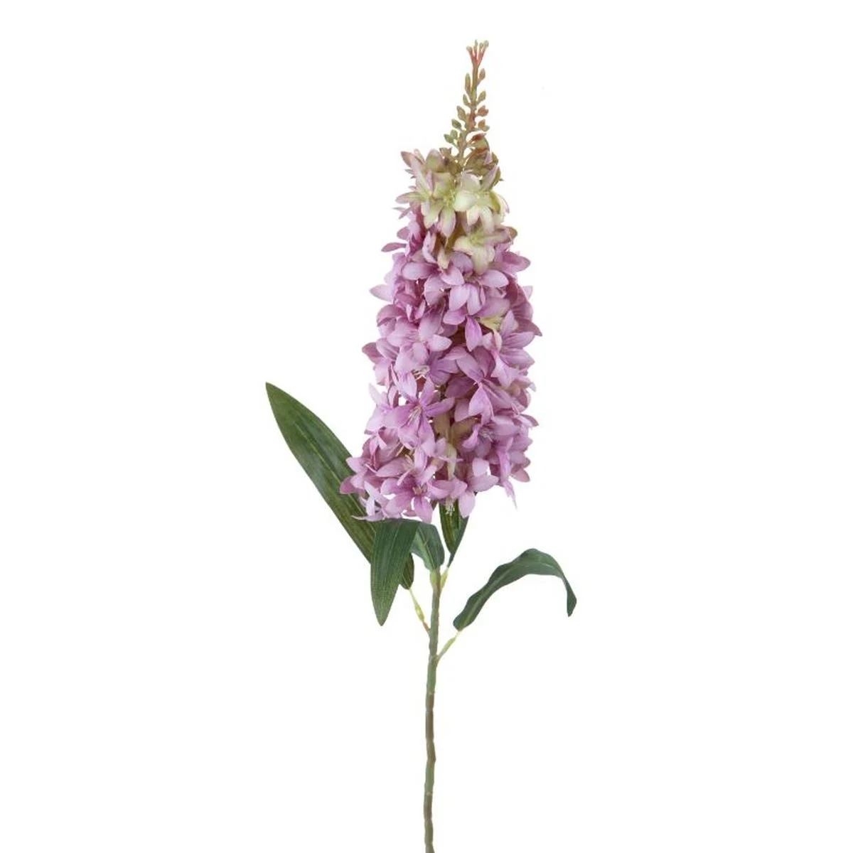 Fiore Violaciocca Viola cm.95