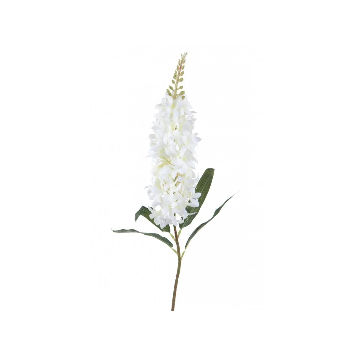 Fiore Violaciocca Bianca cm.95