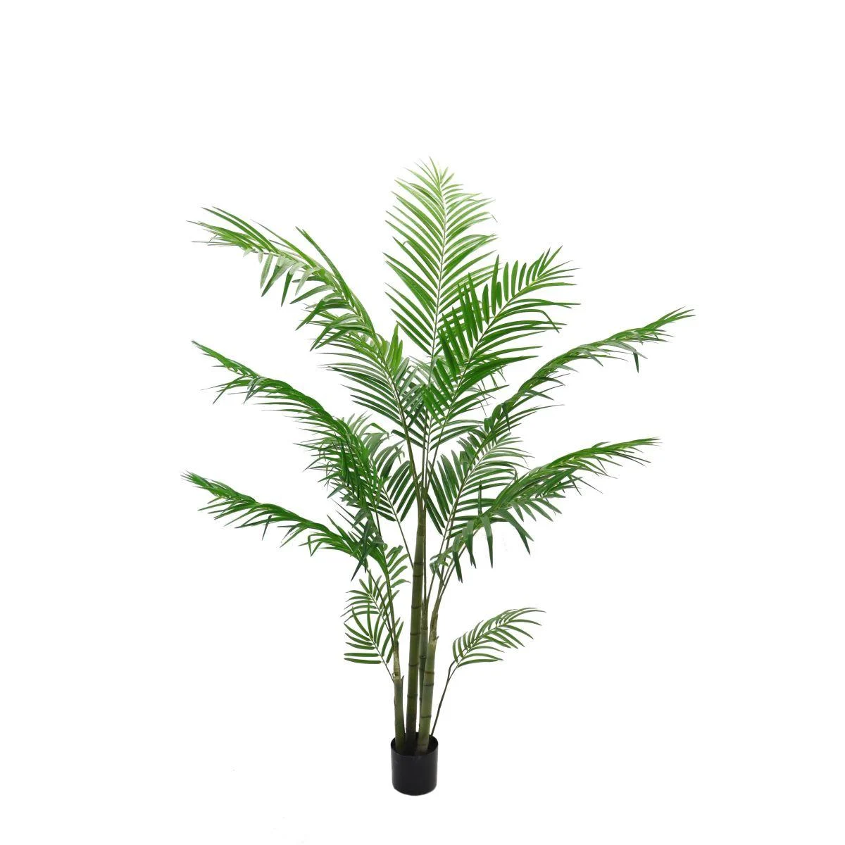 Pianta Palma Areca PVC Verde con Vaso cm.185