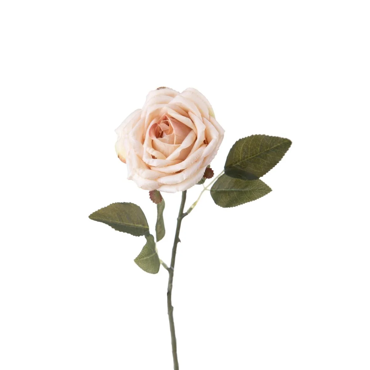 Fiore Rosa Bianco Crema cm.51